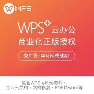 WPSOffice2019专业版办公软件（政府专用一年服务，
