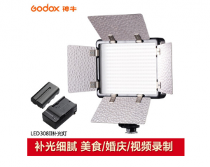 神牛（Godox）LED308II LED摄影灯遥控 网红婚庆DV摄像机采访主播 微电影补光（LED灯+2200锂电池+充电器）