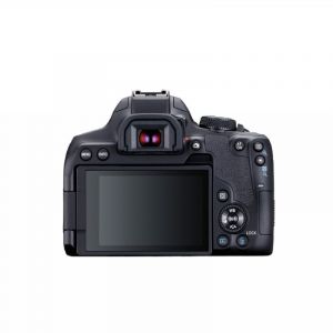 佳能（Canon）EOS 850D 单反相机单机身